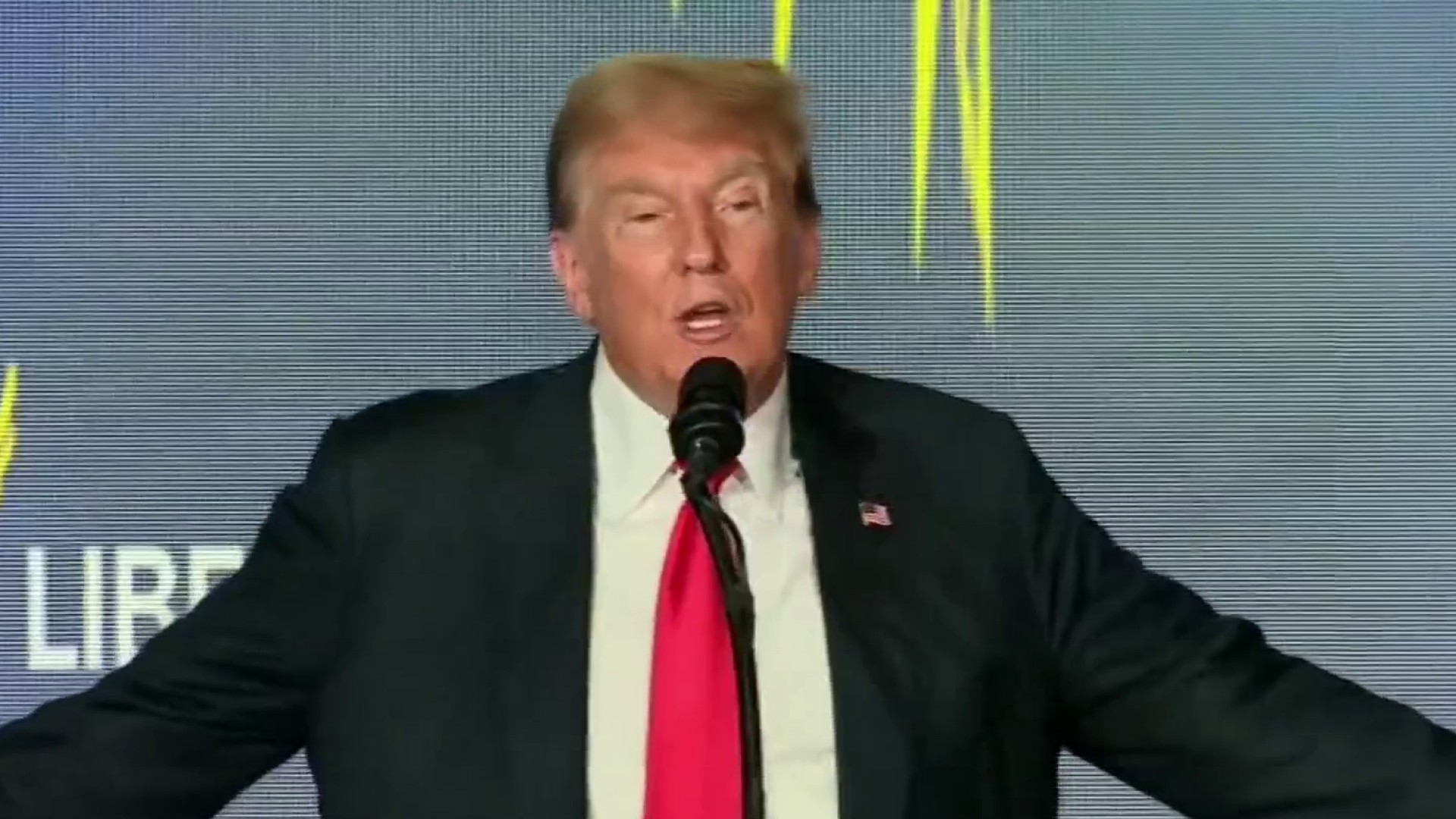 Trump Booed At Libertarian National Convention