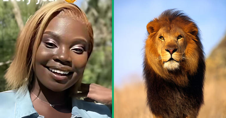 Lion attack caught on camera: Woman's birthday safari takes a terrifying turn, SA stunned