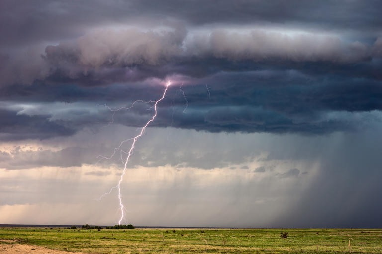Colorado rancher and 34 cows killed by lightning strike in tight-knit community