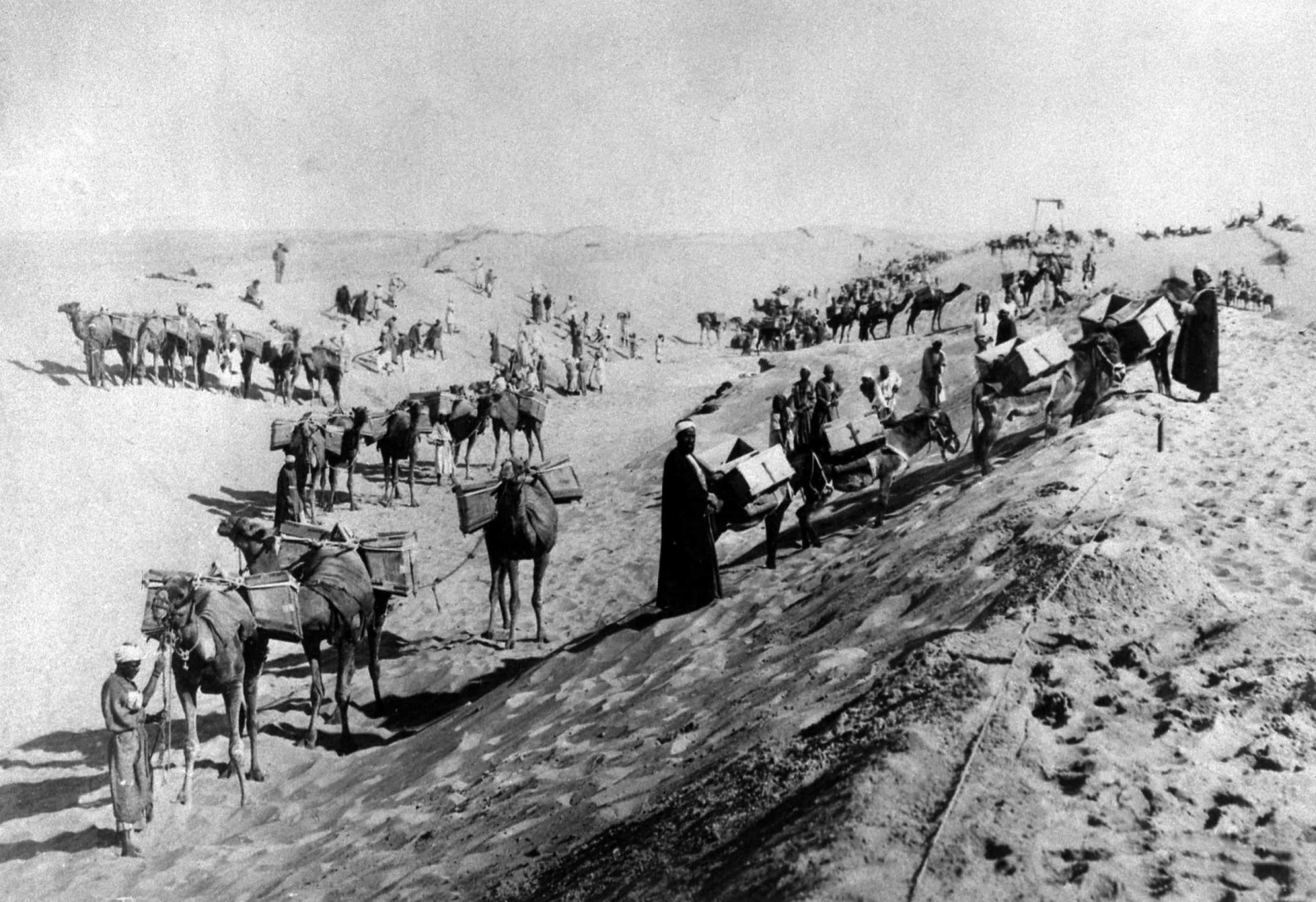 <p>Construction was further delayed after Egyptian ruler Ismail Pasha abruptly banned the use of forced peasant labor in 1863. Faced with a severe reduction in manpower, Lesseps and the Suez Canal Company were compelled to use several hundred custom-made steam- and coal-powered shovels and dredgers to dig and widen the canal.</p>