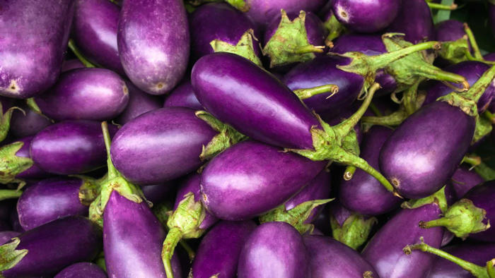 microsoft, fachbezogene faqs: ist aubergine reich an phosphor?