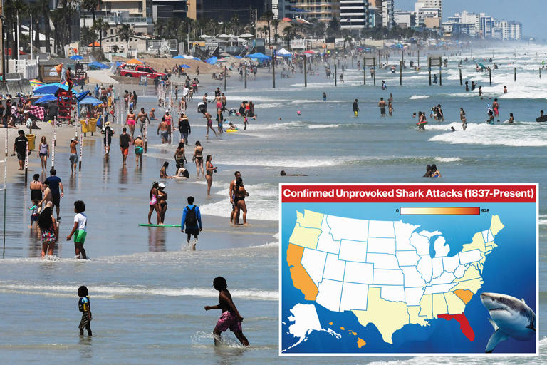 Shark attack capital of the world named — and it’s in this US state
