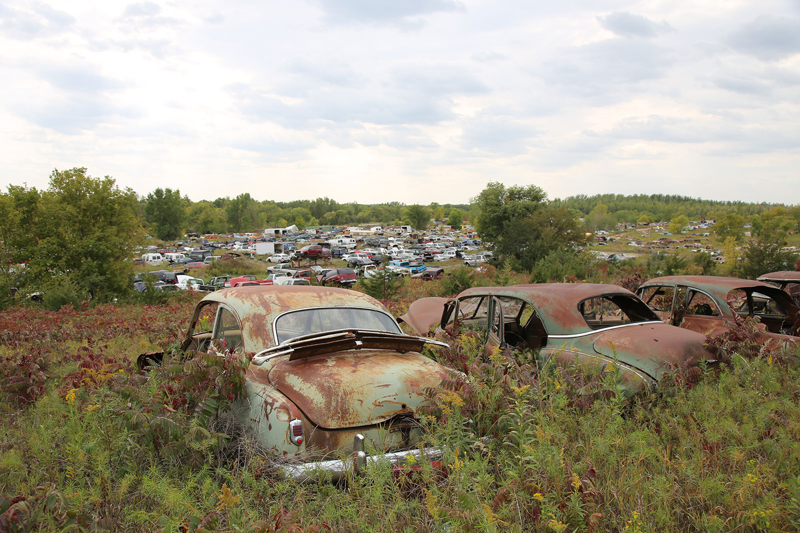 Junkyard Discoveries of Windy Hill Auto Parts in New London, Minnesota