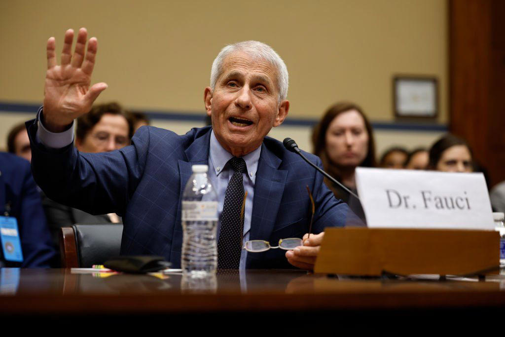marjorie taylor greene refused to call anthony fauci “doctor” during congressional hearing