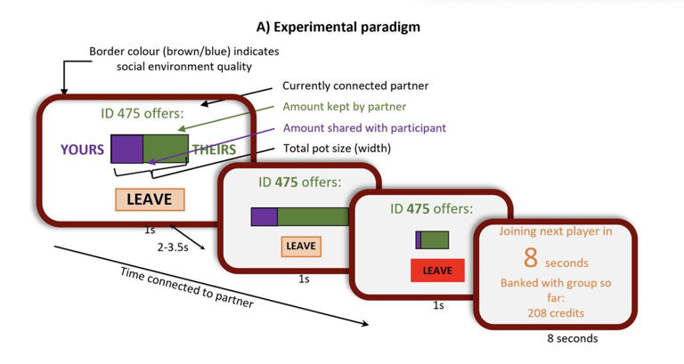 Experimental paradigm. Participants were connected with partners (indicated by numeric ID numbers). Partners made decisions about how much to share out of different pots of total credits of different sizes, indicated by the width of a bar on the screen. The amount being shared was purple, and the amount kept by the partner was shown in green. Participants' task was to decide when to leave a partner to connect to another. When participants chose to leave, they experienced an eightsecond delay during which they were shown the amount of credits collected in the environment so far. Participants joined different virtual "groups" of potential partners for five-minute blocks, creating different social environments. This information was indicated by a coloured border for the entirety of blocks and an instruction screen between blocks. Note that this figure shows the stimulus presentation for Study 4. Studies 1–3 used text and numerals instead as can be seen in the supplementary materials. Credit: Gabay et al.