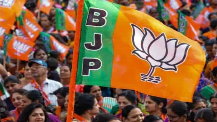 Lok Sabha Elections 2024: What If BJP Fails To Get The Magic Number Of ...