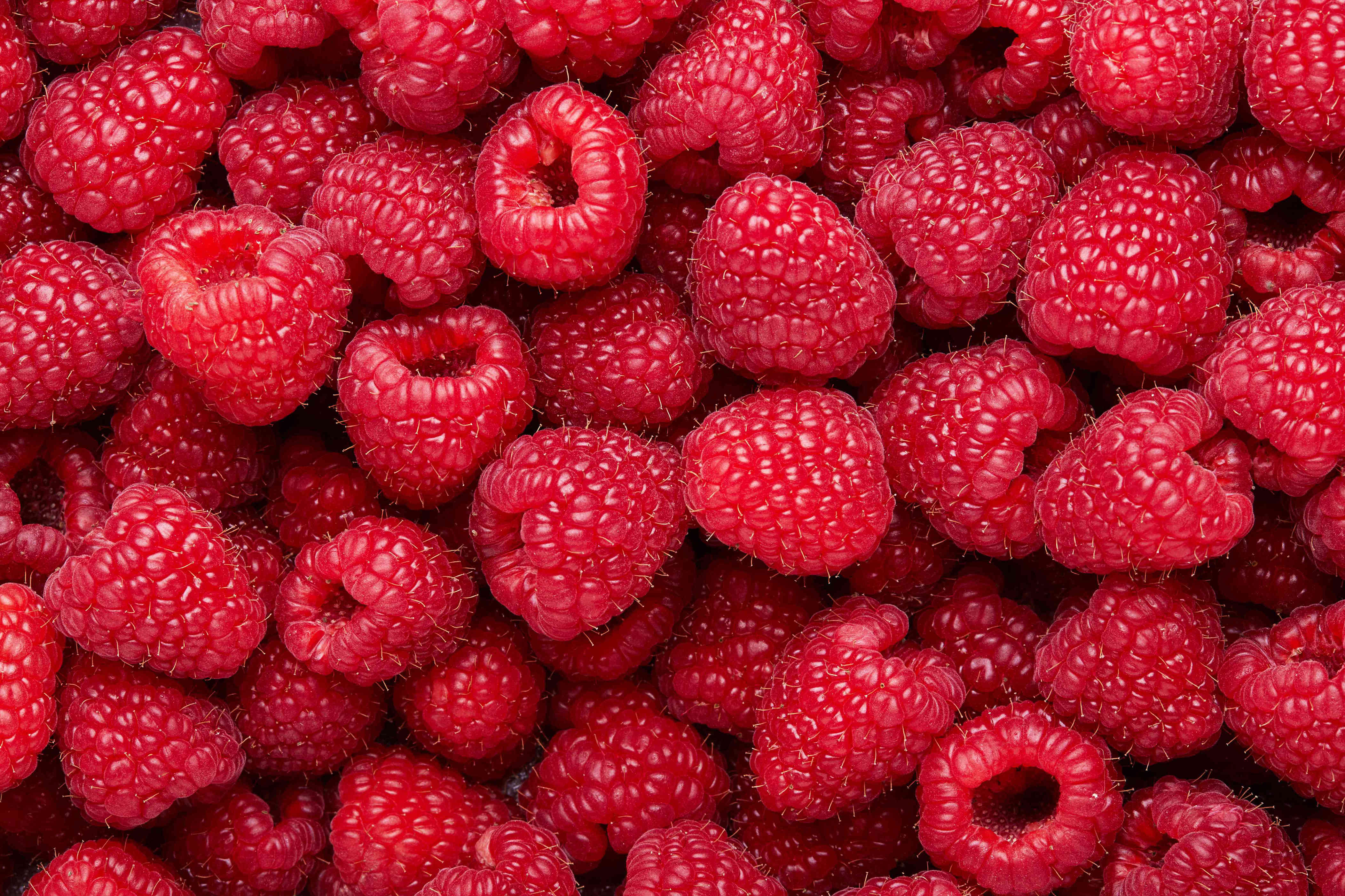 How to store raspberries to avoid a mushy mess