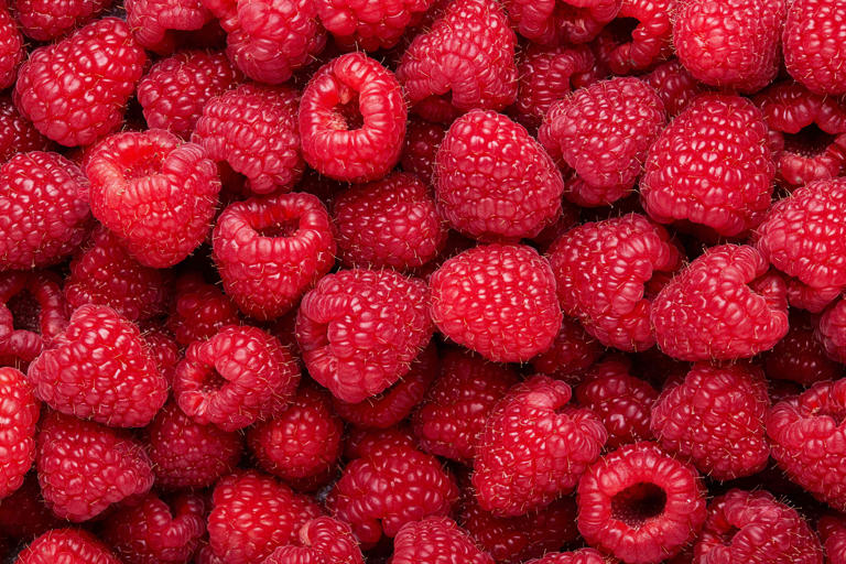 How to store raspberries to avoid a mushy mess