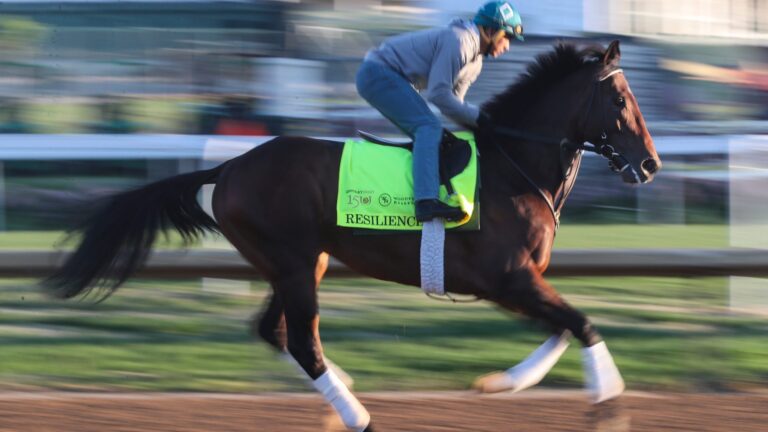 Top 5 Longshot Horses to Bet at the 2024 Belmont Stakes