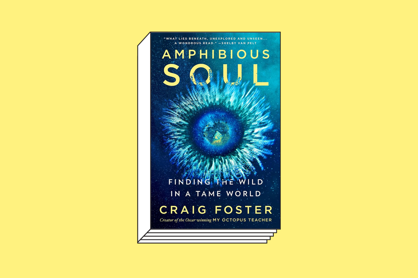 Amphibious Soul by Craig Foster (HarperOne, 2024)