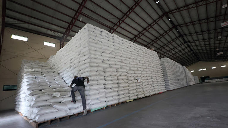 Gov’t slashes tariff on rice imports to help cut local prices