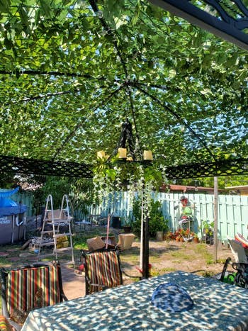 a pergola with vines covering the top