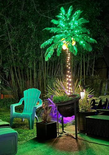 the 9-foot palm tree with led coconuts