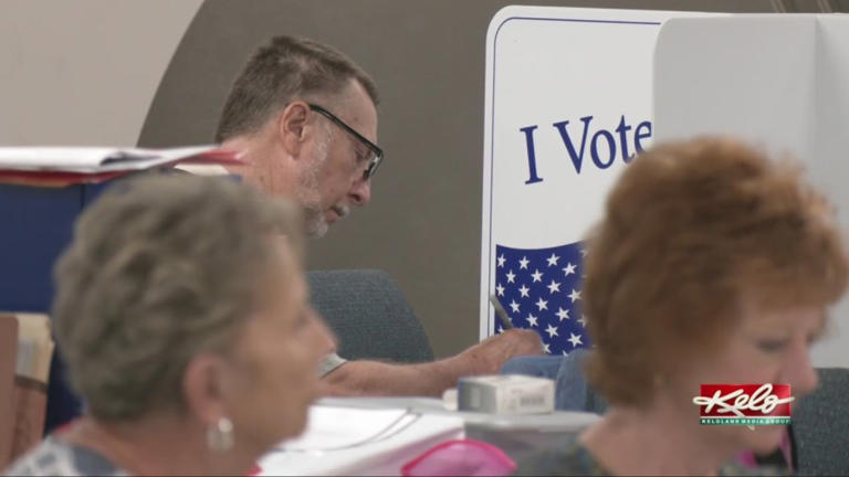 Voters head to the polls for primary election