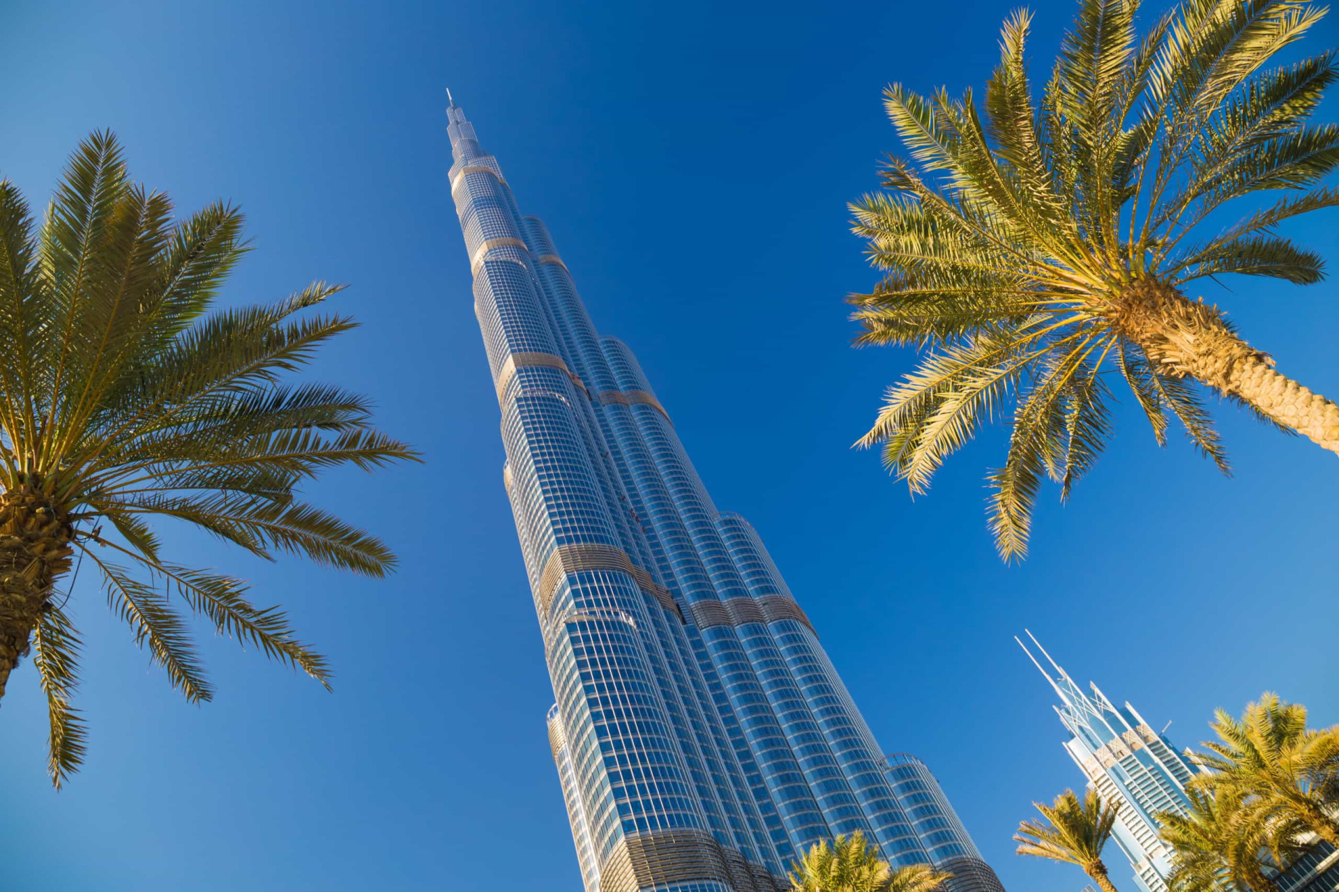 À l'époque de sa construction, la tour Eiffel devait être le bâtiment le plus haut du monde. Aujourd'hui, c'est le Burj Khalifa aux Émirats arabes unis qui détient ce record, haut de 828 mètres.<p><a href="https://www.msn.com/fr-fr/community/channel/vid-7xx8mnucu55yw63we9va2gwr7uihbxwc68fxqp25x6tg4ftibpra?cvid=94631541bc0f4f89bfd59158d696ad7e">Suivez-nous et accédez tous les jours à du contenu exclusif</a></p>