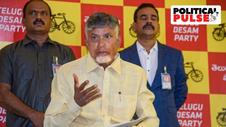 Buoyed By TDP’s Stellar Show And BJP Falling Short, Naidu Heads To ...