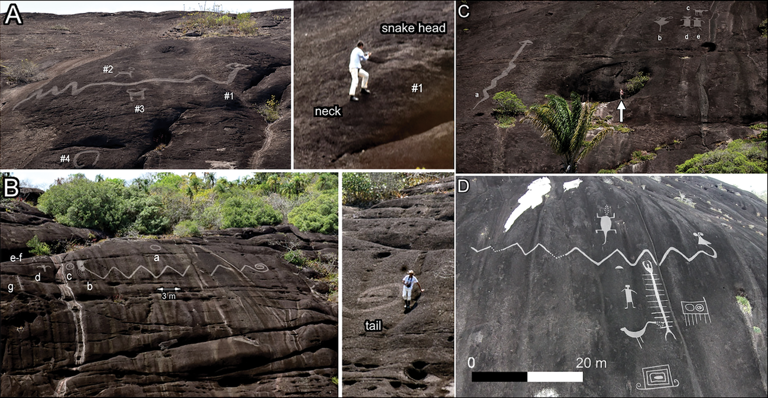 The team visited 157 sites that had rock art, 13 of which with engravings more than 13 feet in dimension. Riris et. al.