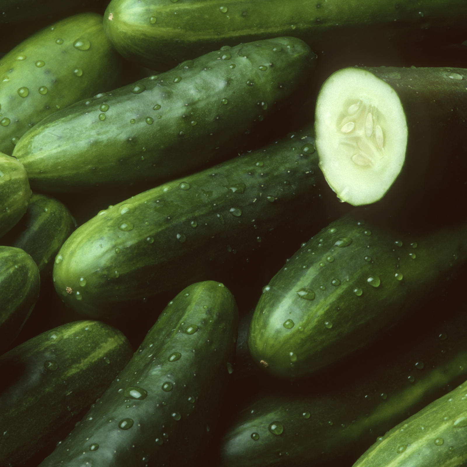 Cucumbers Recalled In 14 States Due To Salmonella Risk