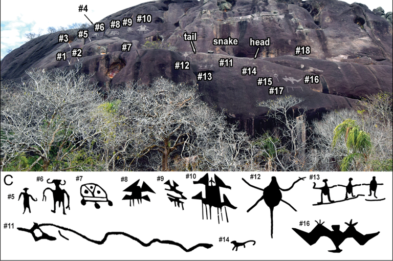 A variety of figures, including bats, insects, snakes, rodents, humanoids, and other figures, were discovered. Riris et. al.