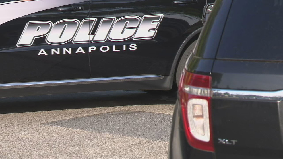 Elderly man and pet dog fatally struck by minivan in Annapolis Elderly man and pet dog fatally struck by minivan in Annapolis