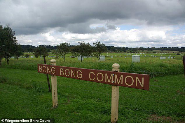 Dog owners call out 'stupid' sign erected at a local park