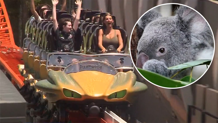 Environmentalists have are outraged after it was revealed $2.7 million in Queensland state funding, originally meant for a koala research facility, was instead redirected to build a theme park rollercoaster.