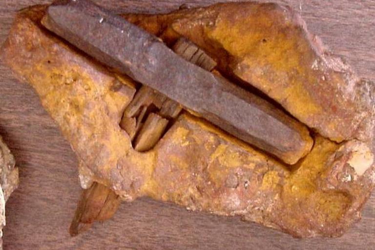 <p>Most wooden artifacts from previous geological periods would be either outright petrified or show some evidence of mineralization, a process by which inorganic minerals find their way into the porous parts of organic material like wood.</p> <p>But aside from some minor carbon integration at either tip of the handle, the wood in it has remained largely unmineralized. </p>