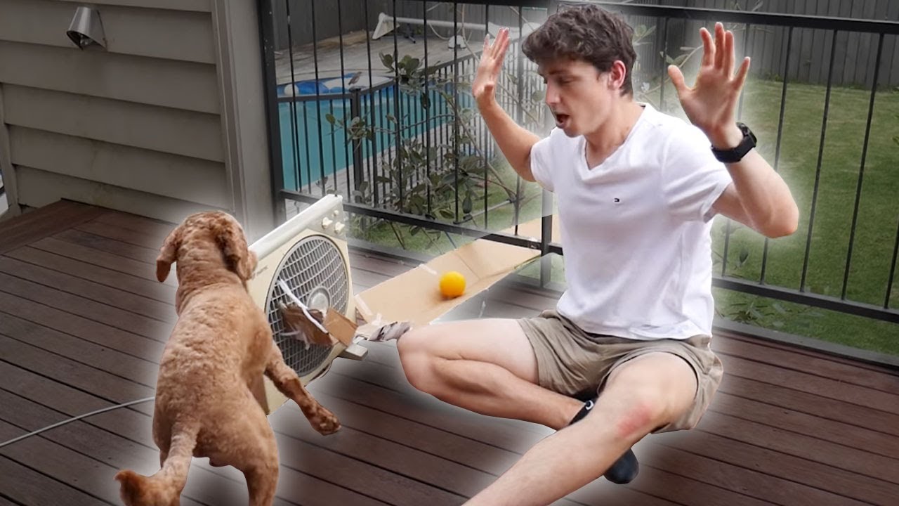 Watch what happens when I teach my dog to play fetch with himself