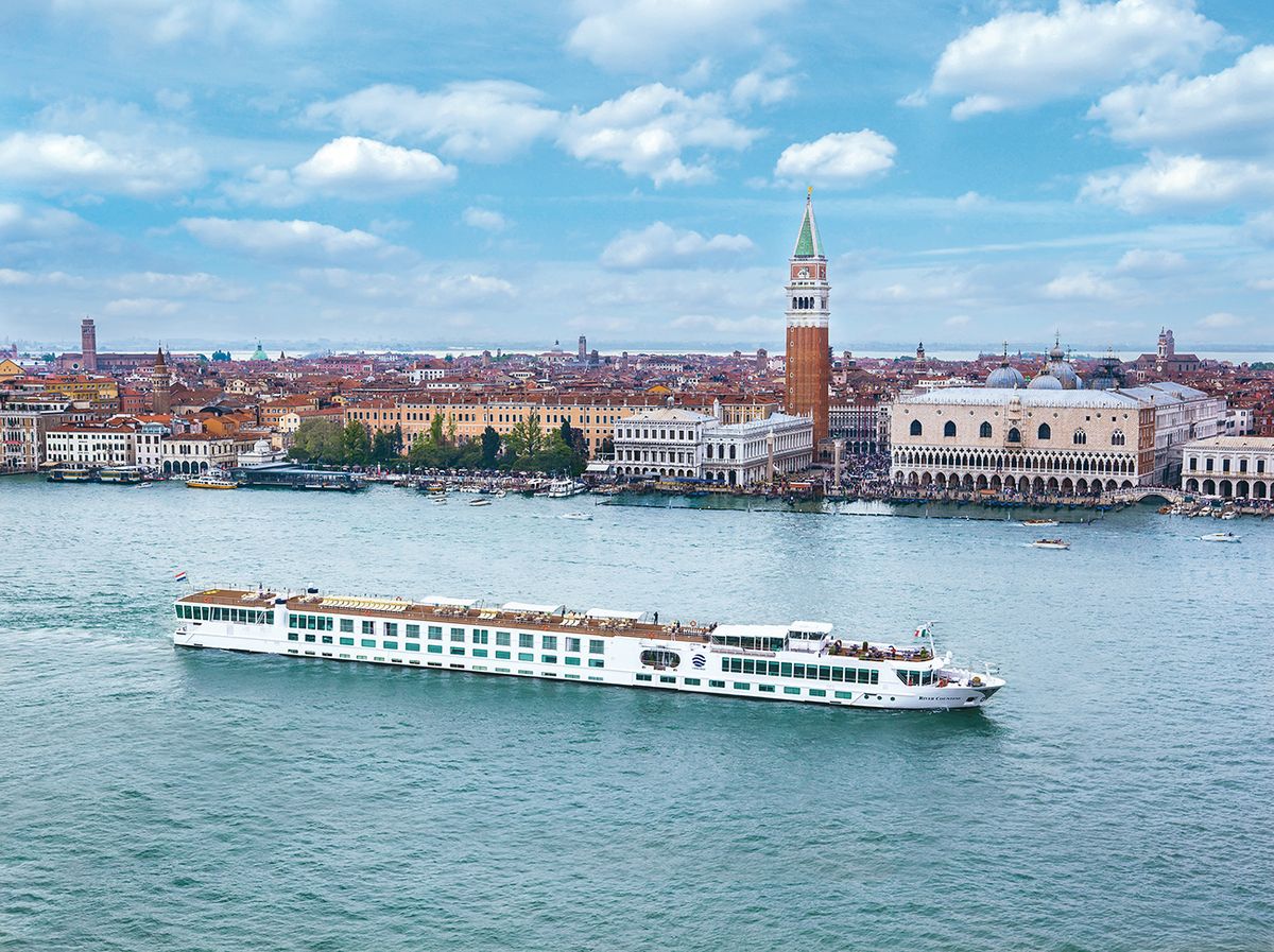 15 Smells That Attract Cats To Your Yard