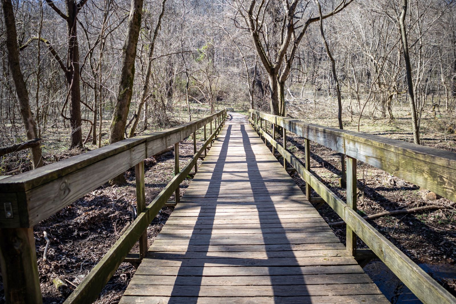<p class="wp-caption-text">Image Credit: Shutterstock / Wirestock Creators</p>  <p>Escape the city and immerse yourself in nature at Radnor Lake State Park. Lace up your hiking boots and explore scenic trails that wind through lush forests and around tranquil lakes.</p>