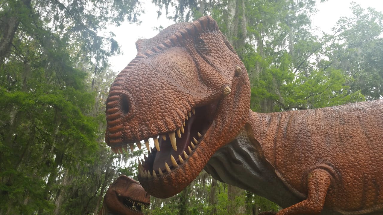 <p><span>Once you drive past a massive T-Rex figure on the interstate between Tampa and Orlando, you’ll know you’re close to Dinosaur World. </span></p><p><span>Despite the name’s implications, this no-frills attraction is quaint, especially compared to other theme parks in the state. Still, you’ll get to stroll through hundreds of life-sized dinosaur replicas immersed in nature for an admission fee. It’ll feel like a mini-Jurassic Park. </span></p><p><span>Location: 5145 Harvey Tew Rd, Plant City, FL 33565</span></p>