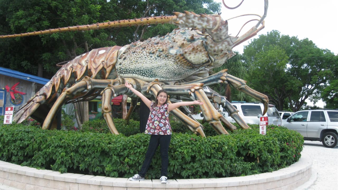 <p><span>Prepare to get up close and personal with what’s believed to be the world’s largest lobster sculpture. Betsy ​​is 30 feet high, 40 feet long, and incredibly detailed. Sitting conveniently along the Overseas Highway, it’s easy to pull over and marvel at the 12-legged crustacean. </span></p><p><span>Though, it may make you second guess the next time you dig into a lobster roll. Locals know her as one of the most photographed landmarks in the </span><span>Florida Keys</span><span>. </span></p><p><span>Location: 86700 Overseas Hwy, Islamorada, FL 33036</span></p>