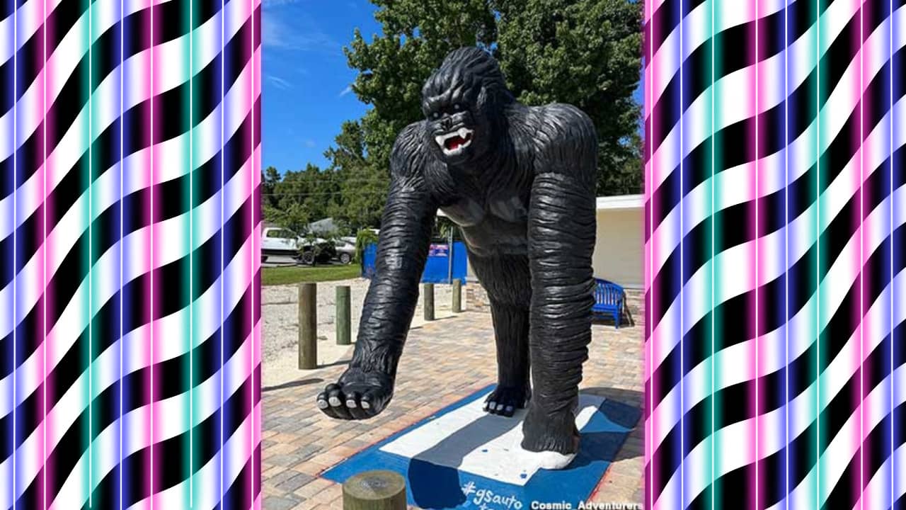 <p><span>Not every day you get to sit in the hands of a 12-foot-tall gorilla. This towering primate looks as good as new, and you’ll have a funny pic to post when the road trip ends. </span></p><p><span>What more can we say? This spot is what tacky roadside attractions are all about.</span></p><p><span>Location: 2021 US-19, Crystal River, FL 34428</span></p>