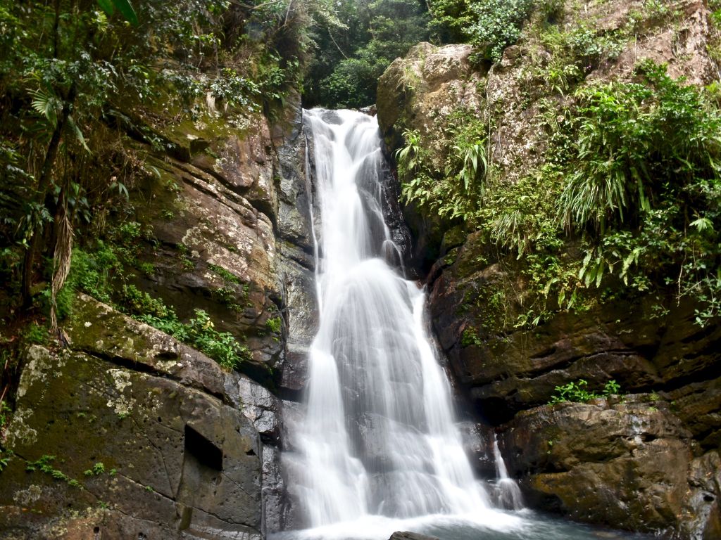 <p>El Yunque National Forest is the only tropical rainforest that is part of the U.S. National Forests system, and a diverse, lush destination that you should add to the very top of your Puerto Rico bucket list. Whether you spend your visit hiking, swimming in rivers, spotting flora and fauna, or even ziplining, a visit to El Yunque is a highlight of any traveler’s trip to Puerto Rico.</p>