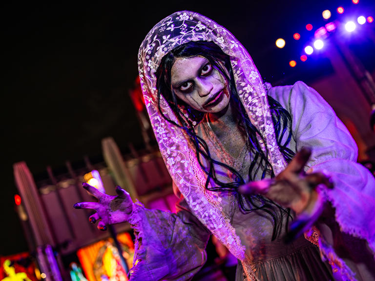 Tickets are now on sale for Halloween Horror Nights 2024 at Universal Studios Hollywood. Halloween Horror Nights 2024 Tickets Single-night tickets overall range from $77 to $107 in price, depending on the night you wish to attend. Above are the event dates and single-night ticket prices for September, which range from $77 to $92. The ... Read more
