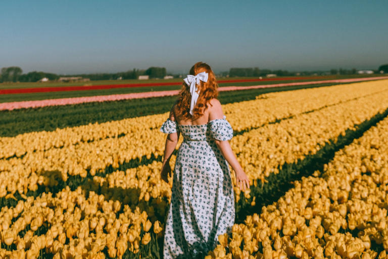 All I’ve ever wanted in life is to prance around in a Dutch tulip field. Ideally at sunrise, in a beautiful dress and a big old bow in my hair.…