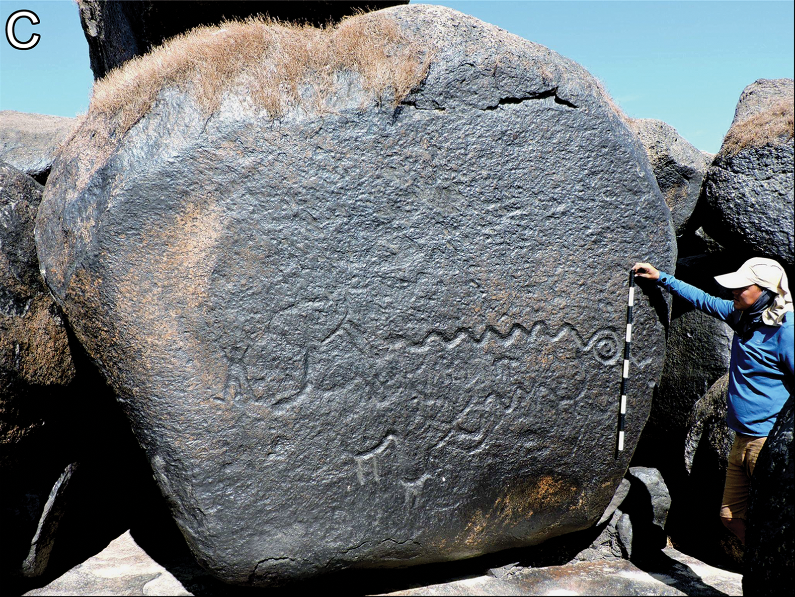 According to a new study, giant rock engravings along the Upper and Middle Orinoco River in South America may have served as territorial markers. Archaeologists from Bournemouth University (UK), University College London (UK), and Universidad de Los Andes (Colombia) have mapped 14 sites, with the largest engraving measuring 40 meters in length.