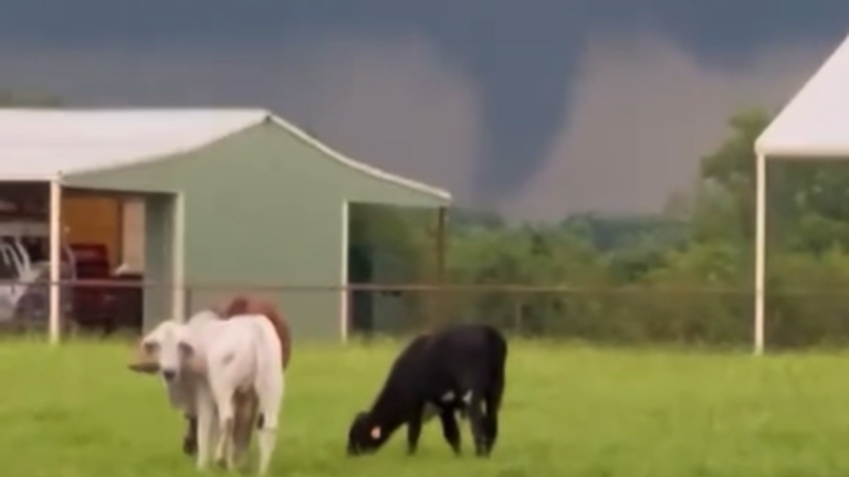 Tornado Touched Down During North Texas Storms Delayed Report Confirms