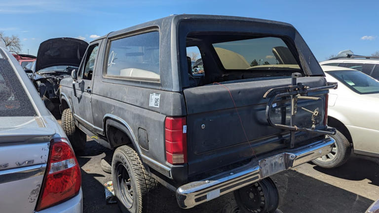 Junkyard Gem: 1983 Ford Bronco