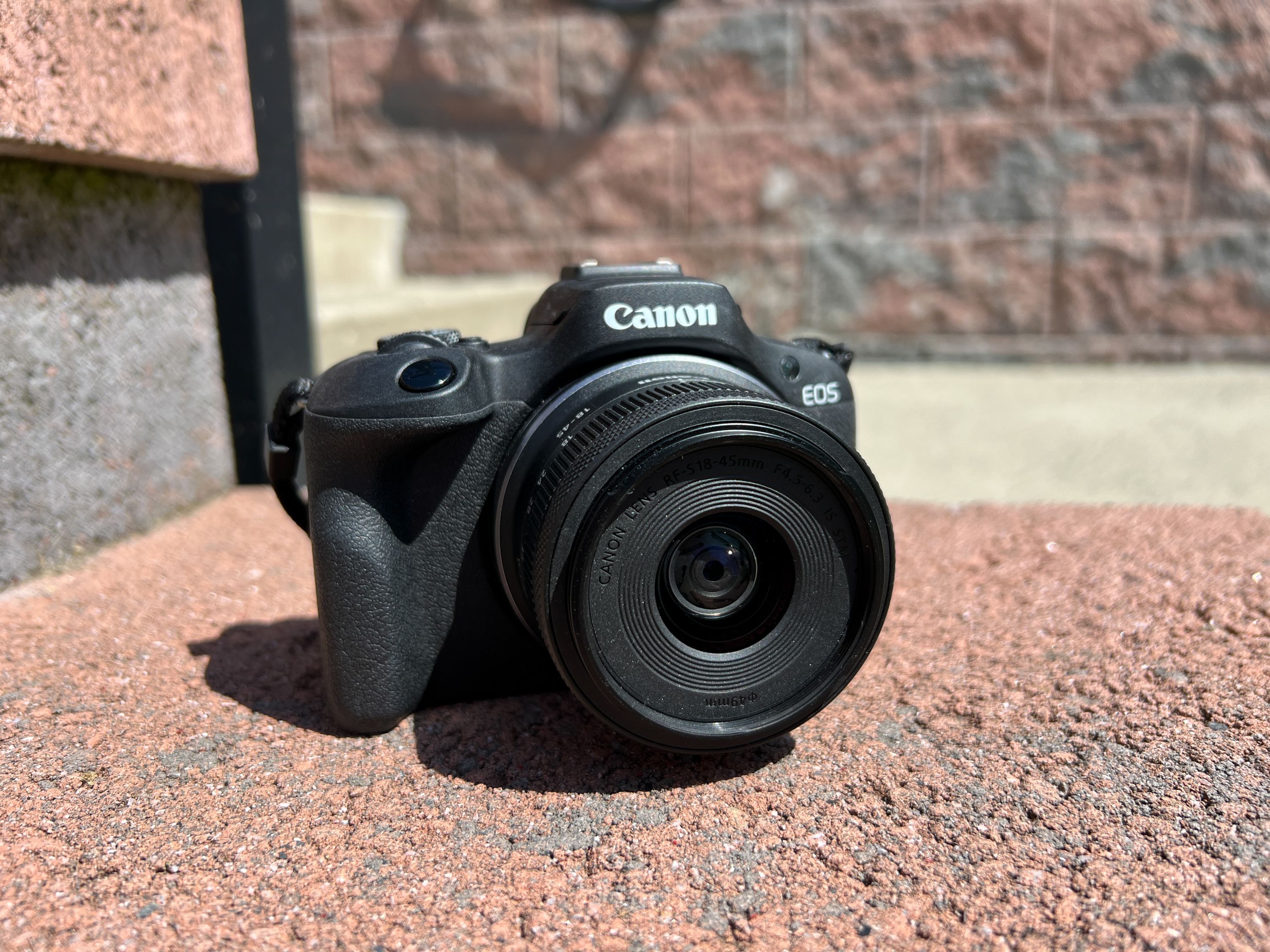 4 Best Cameras for Beginners Looking to Capture Stunning Photos