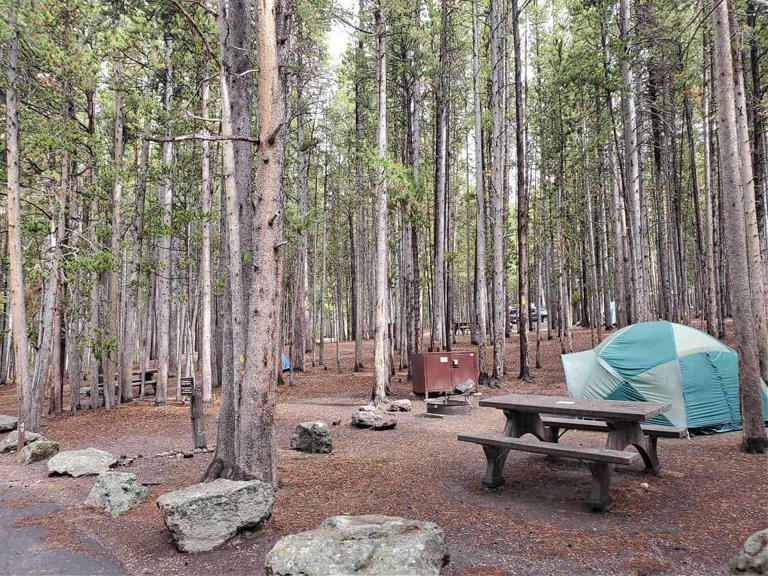 Canyon Campground in Yellowstone National Park