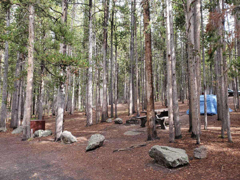Canyon Campground in Yellowstone National Park