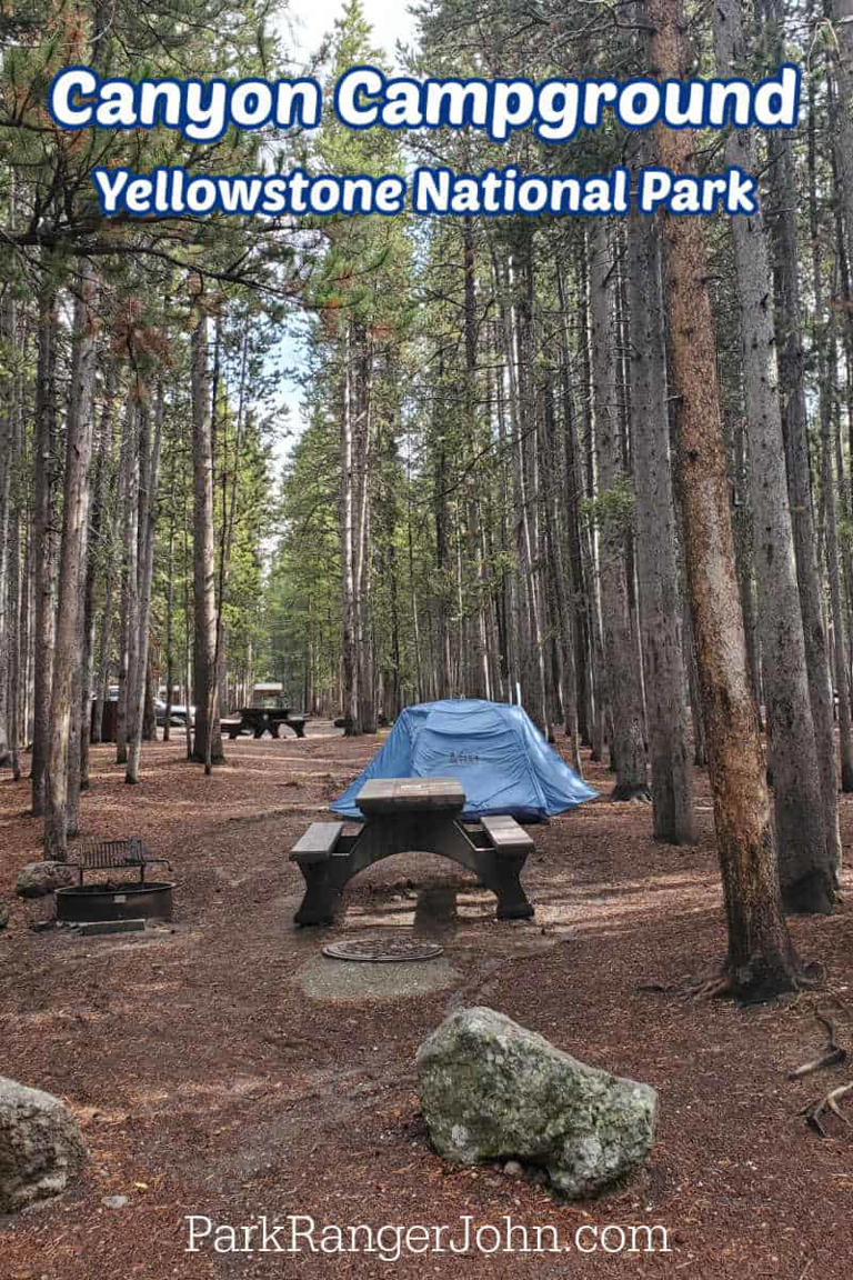 Canyon Campground is a 273-site campground in the Canyon Area of Yellowstone National Park. It is shady and lies in the