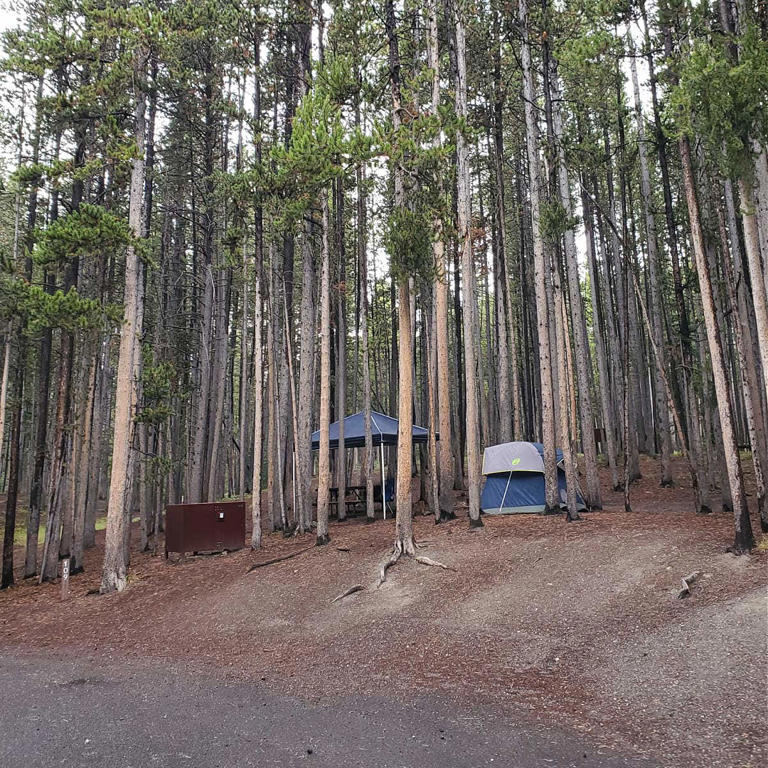 Canyon Campground in Yellowstone National Park