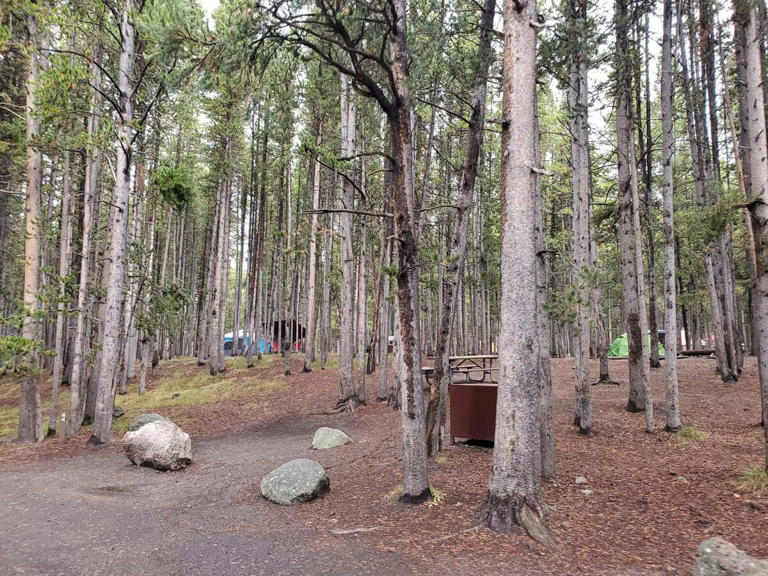 Canyon Campground in Yellowstone National Park