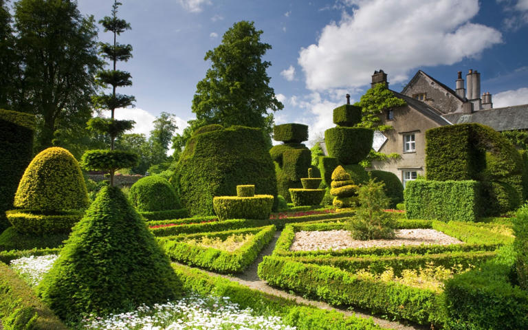 how-to-get-picture-perfect-topiary-in-time-for-garden-party-season