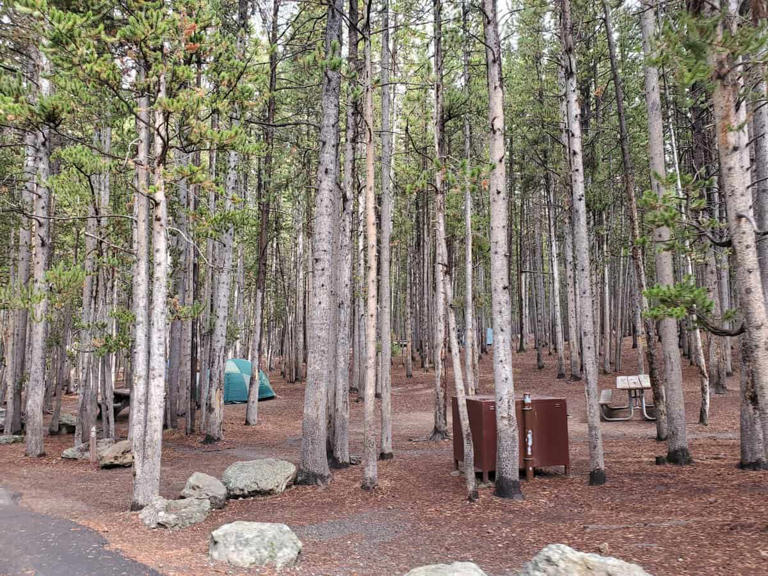 Canyon Campground in Yellowstone National Park
