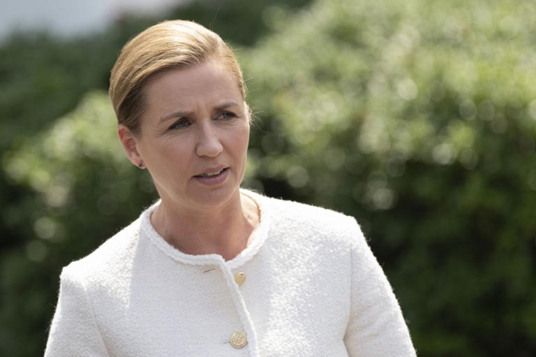 Danish Prime Minister Mette Frederiksen was reportedly "shocked" by Friday's assault, but police did not release any other details about her condition
