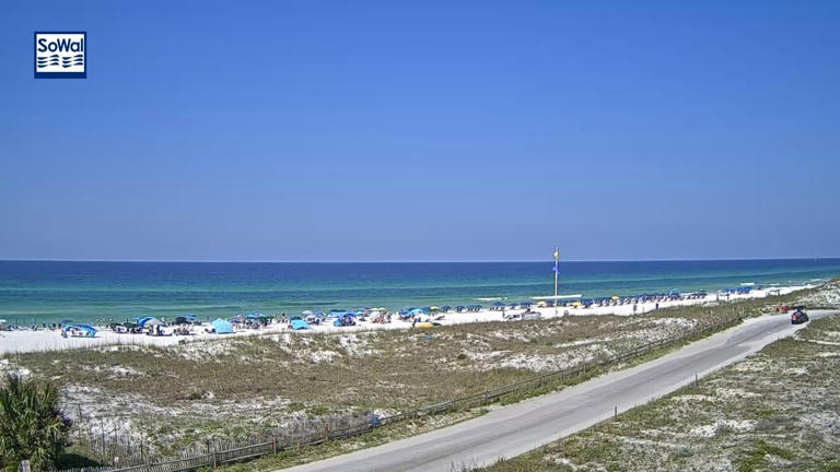 Shark attacks injure 3 along Florida Panhandle beaches