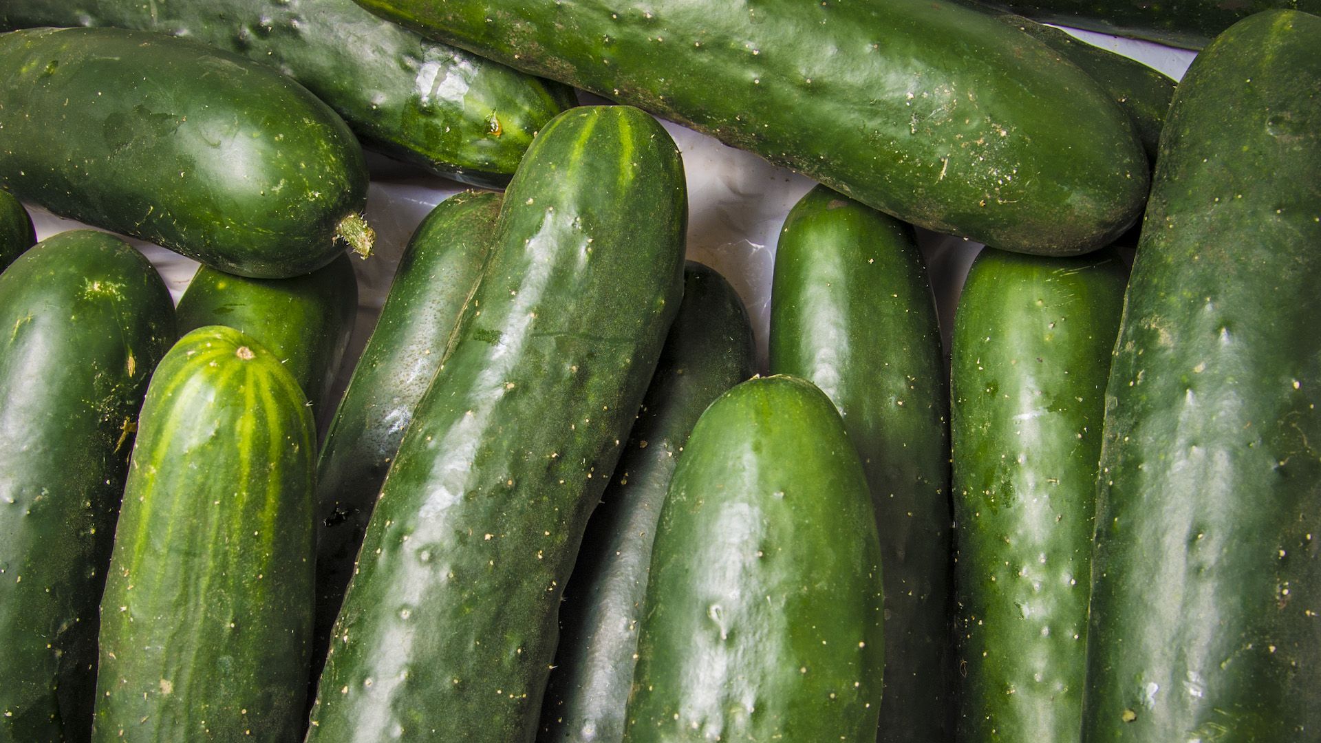 Salmonella Outbreak Tied To Cucumbers Sickens 162